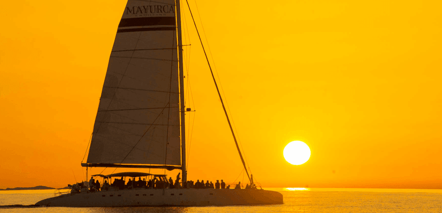 bootstour cala ratjada delfine
