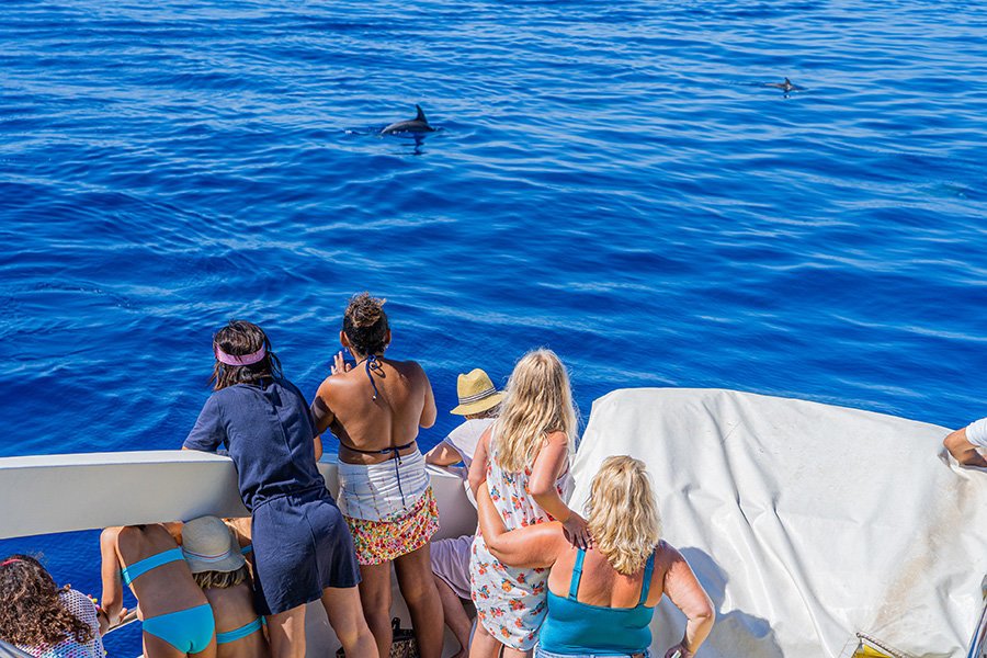 cala d'or delfin tour