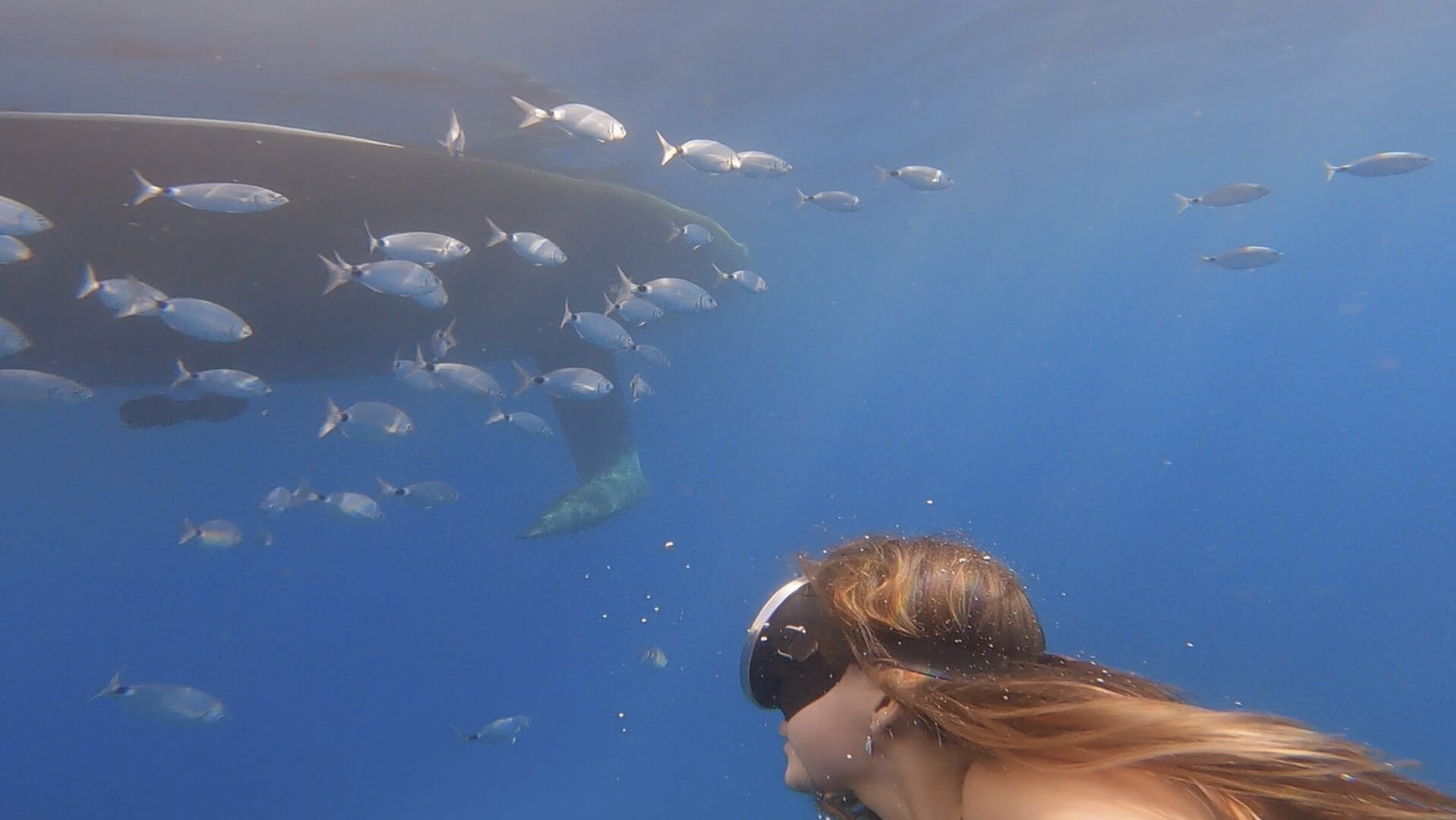 Sonnenuntergang im Katamaran