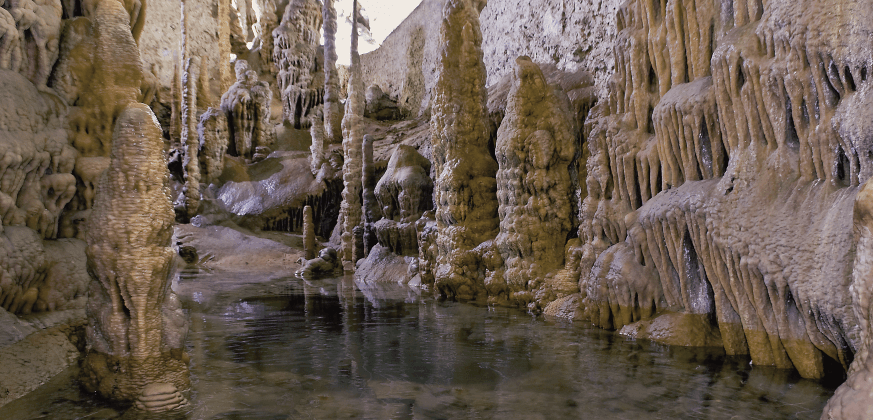 ses coves de campanet