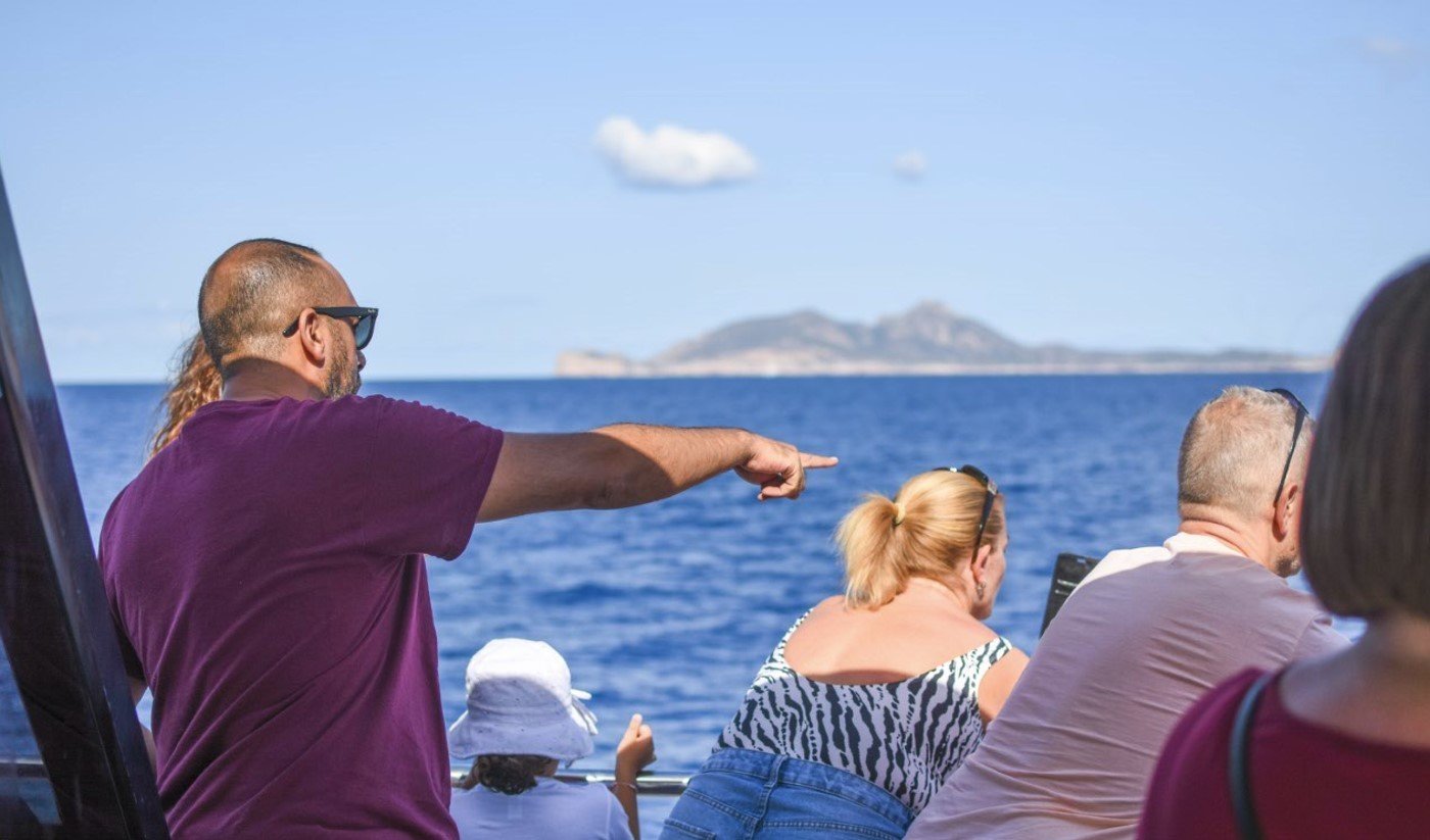 delfine mallorca paguera