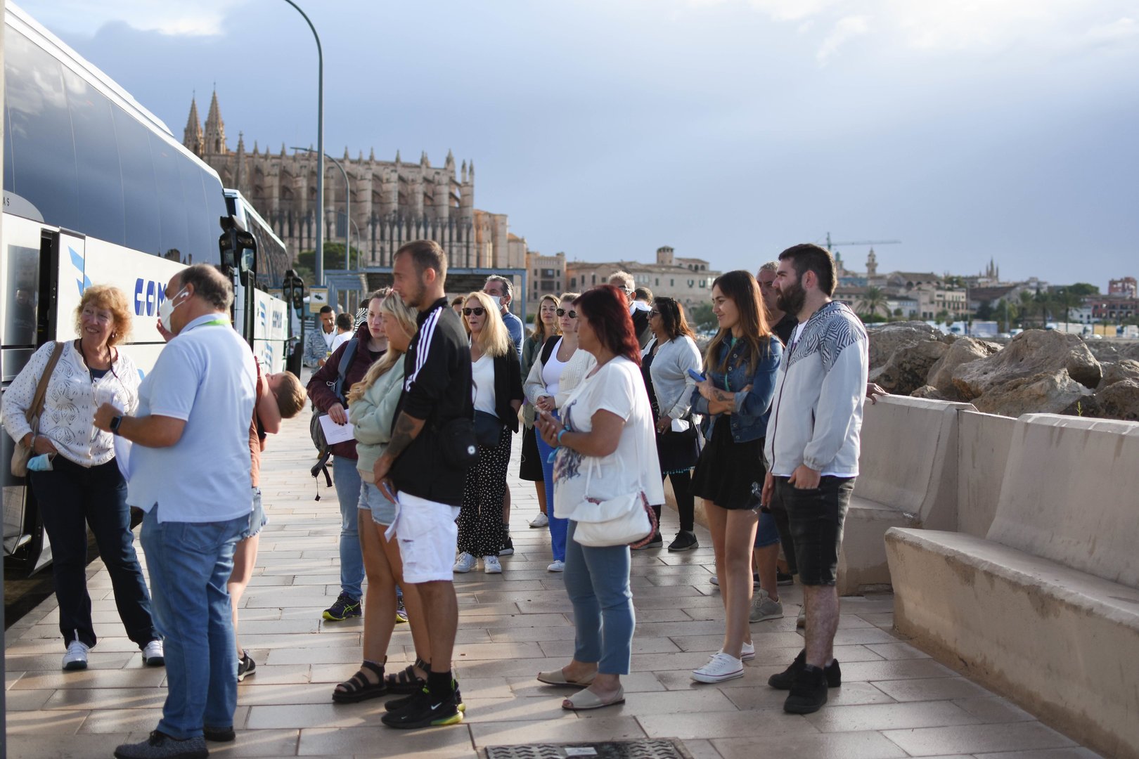 drachenhöhle mallorca bus