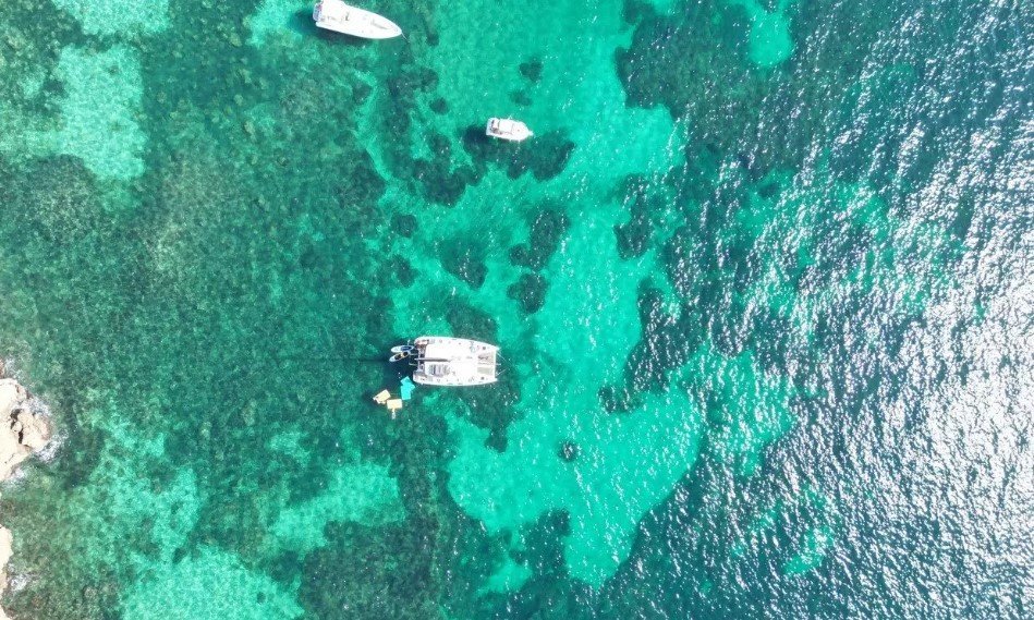 katamaran in bucht mallorca