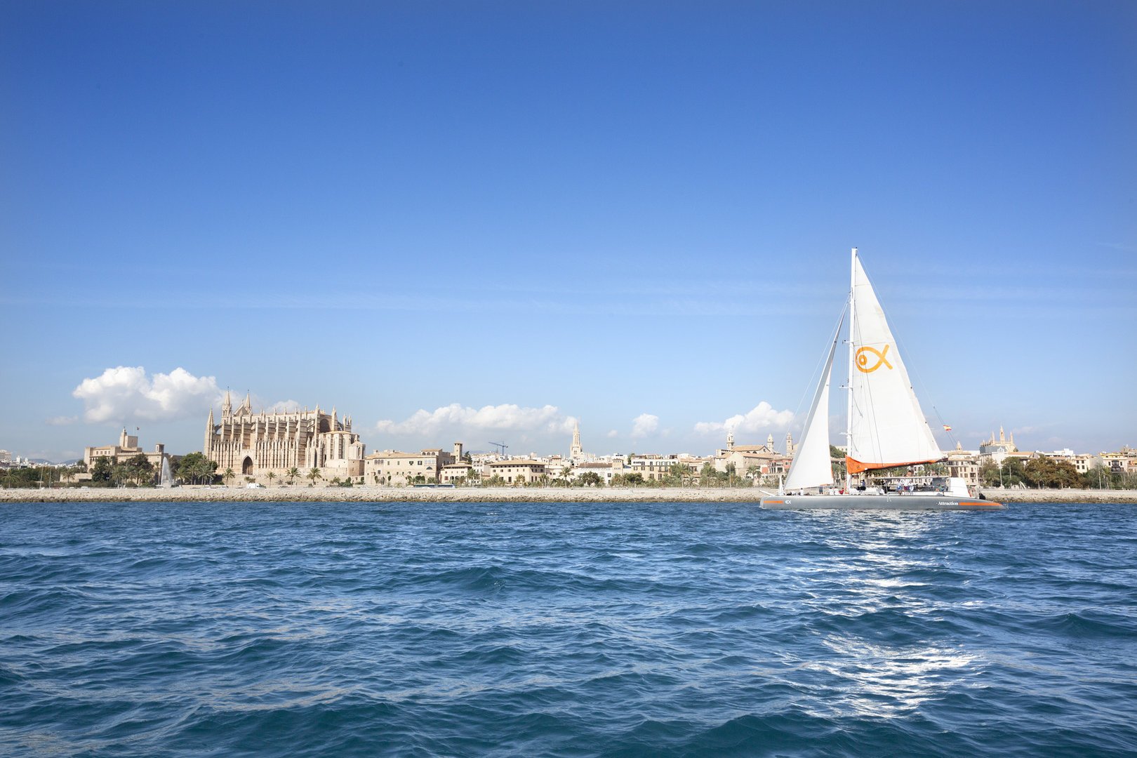 Katamaran Tour Mallorca Palma
