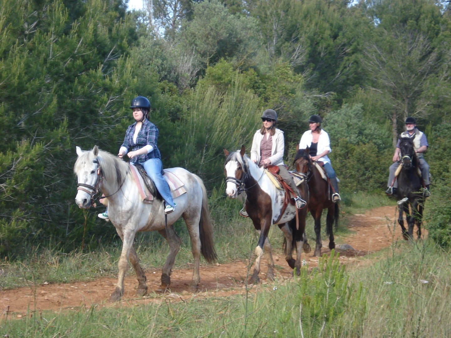 Aktivitäten auf Mallorca: reiten