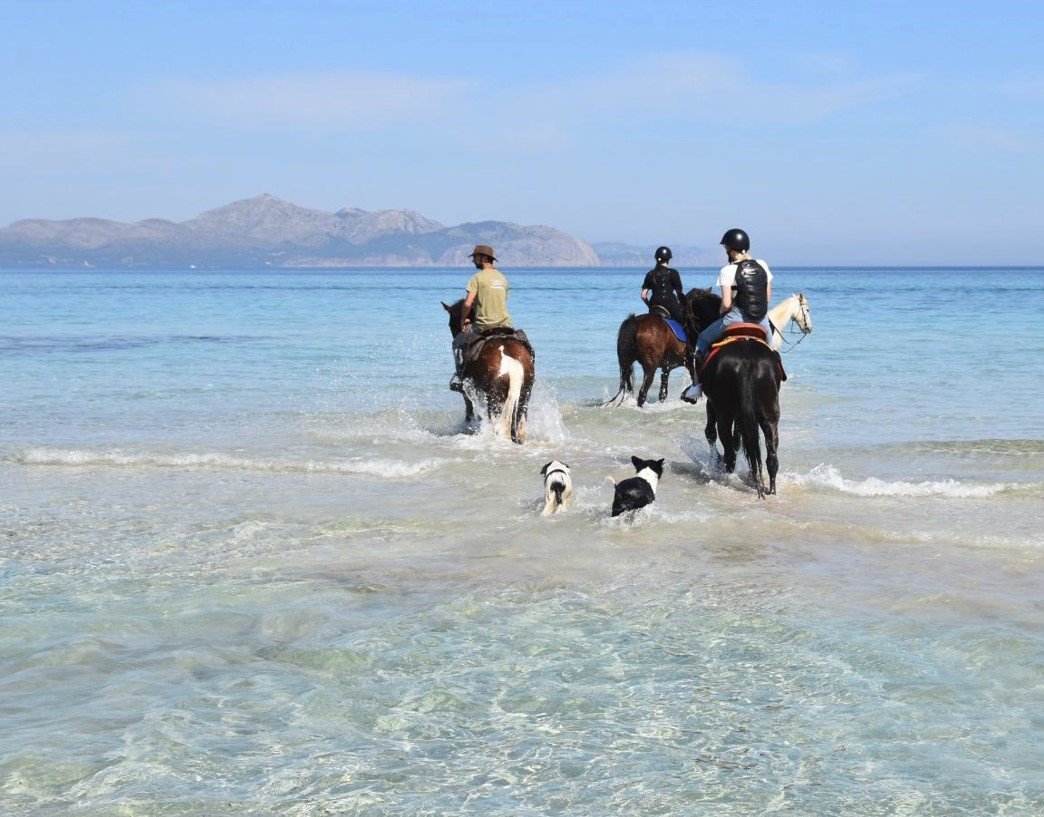 mallorca reiten am Strand