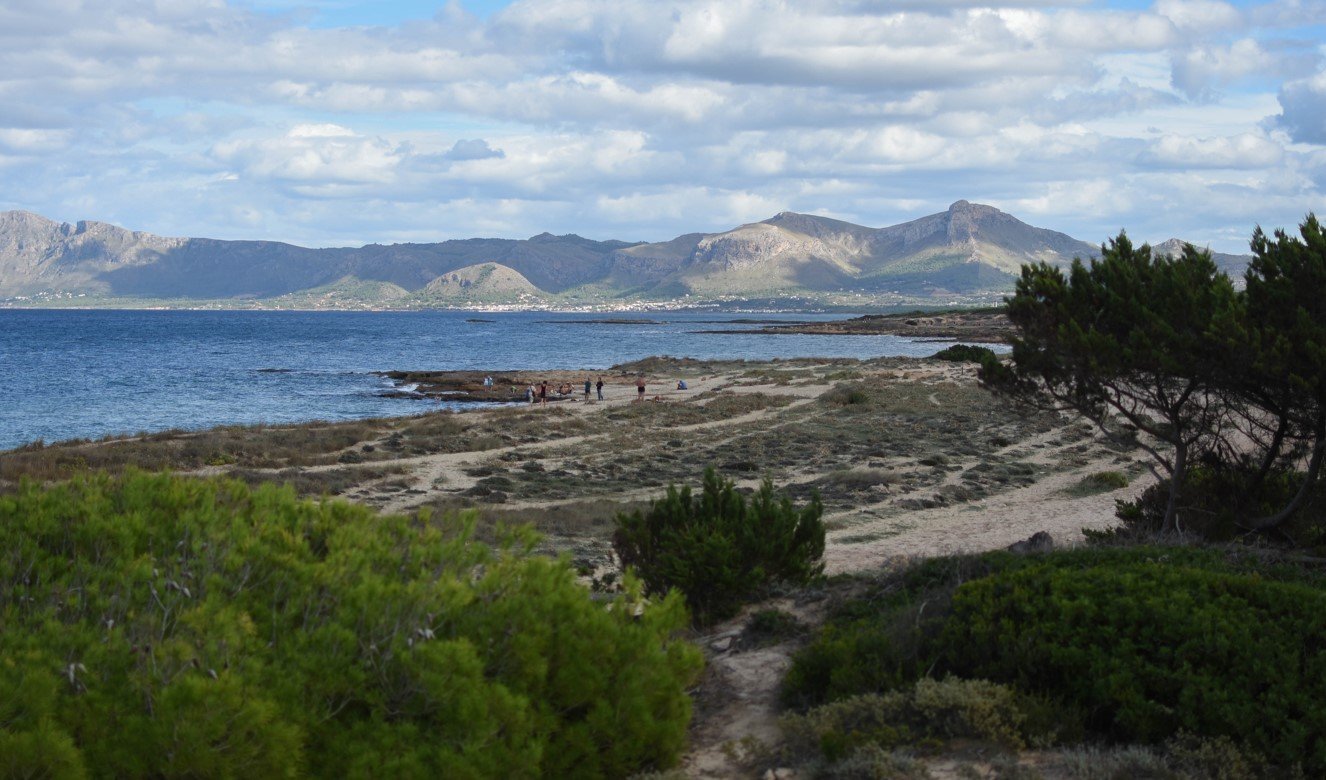 reiten in den Dünen