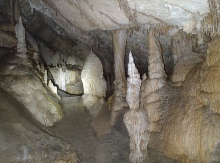 Unterwassewelt Mallorcas