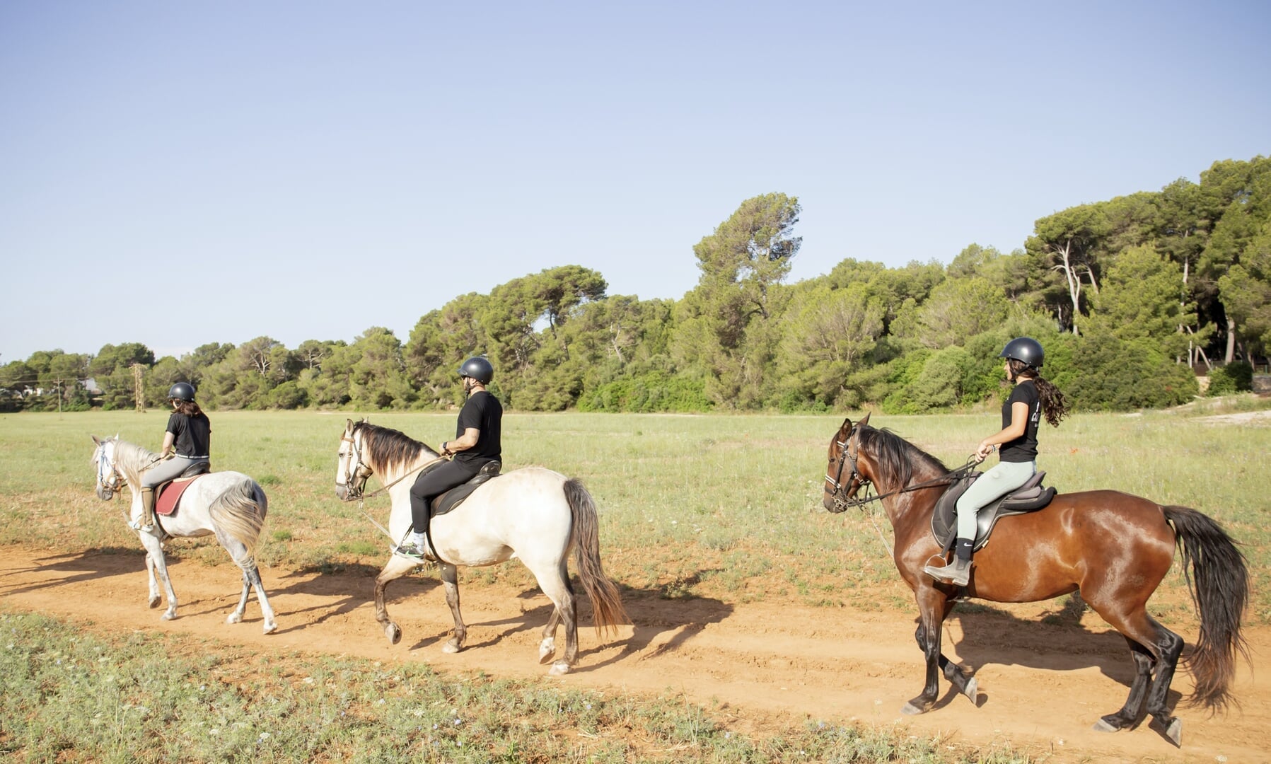 Reiten am Strand