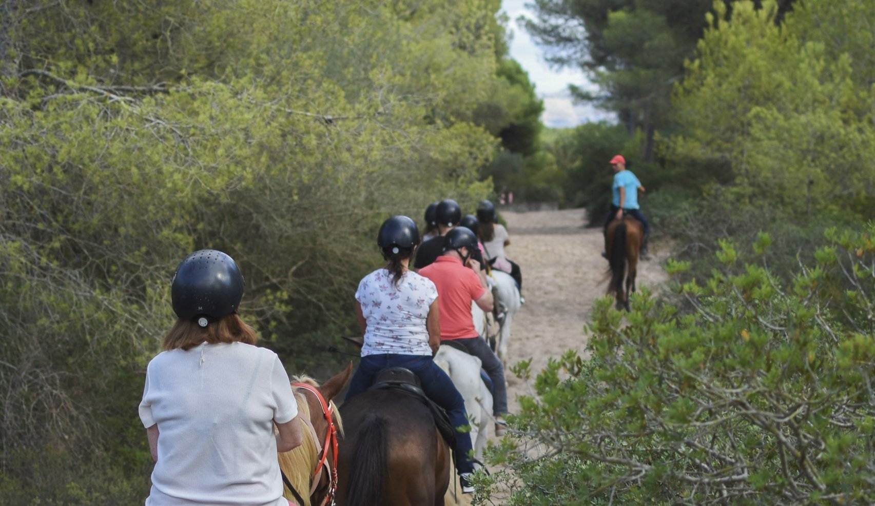 Weg, der auf dem Ausritt verfolgt wird