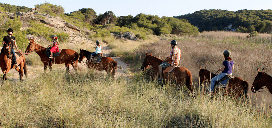 Reiten auf Mallorca durch die Dünen