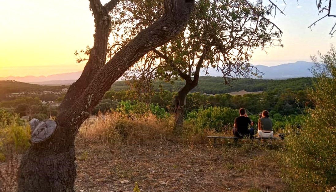 Sonnenuntergang auf der Reitroute