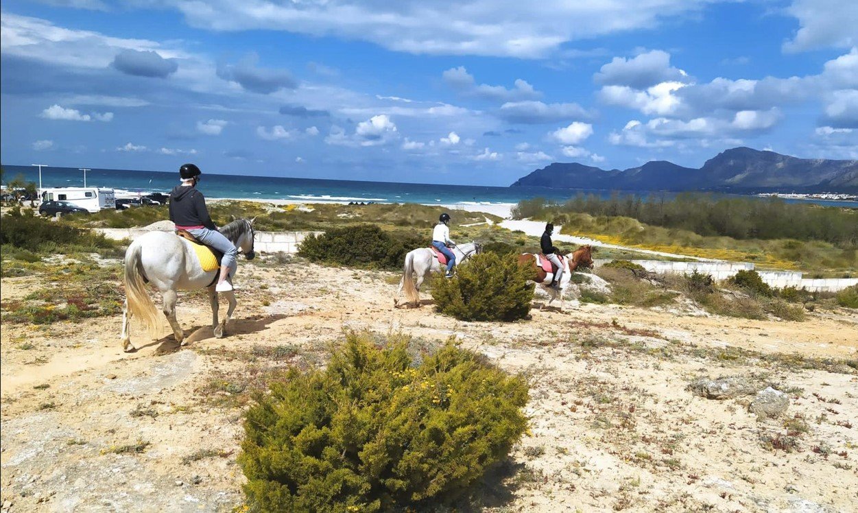 Son Serra Landschaft