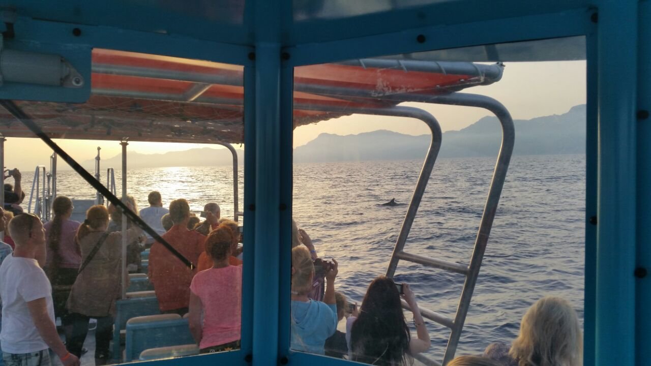 bootstour santa ponsa