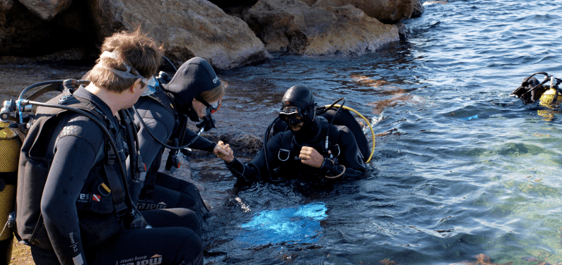 tauchen auf Mallorca