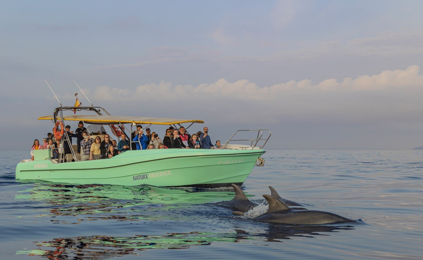 excursion marítima