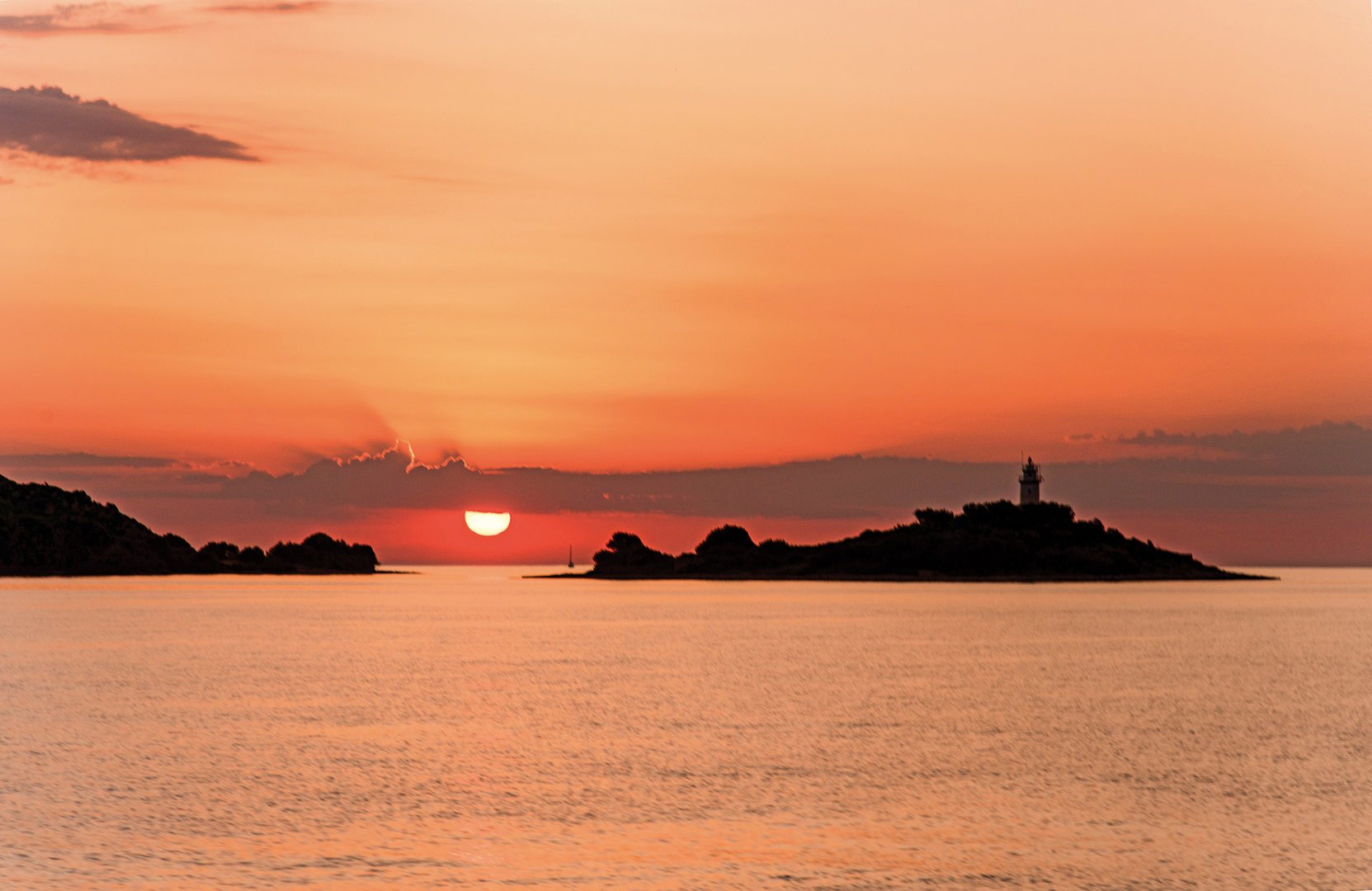 salida del sol con delfines