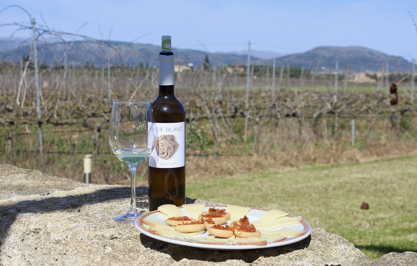 prueba de vinos con vistas