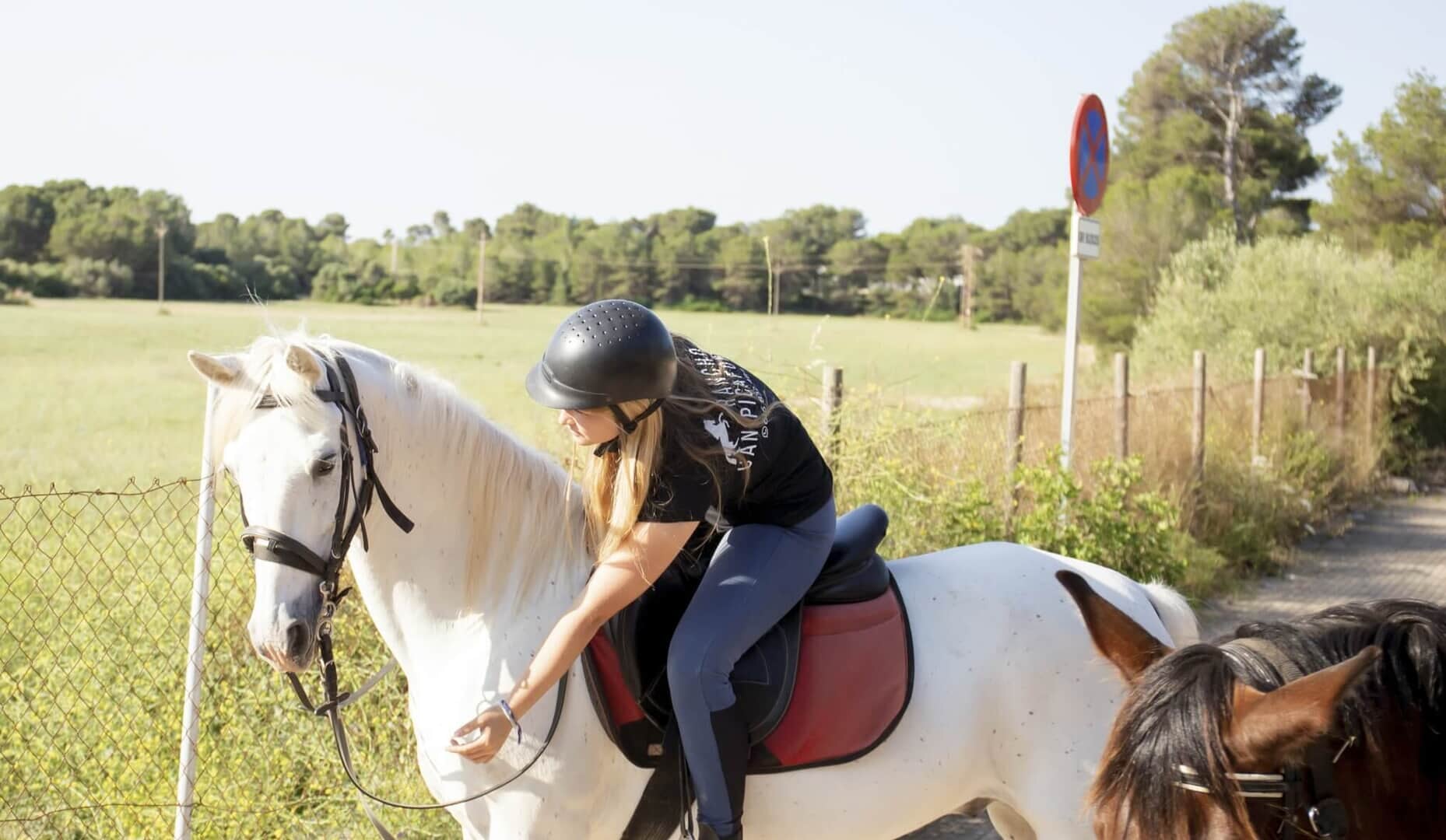 Caballo blanco siendo acariciado durante una excursión a caballo