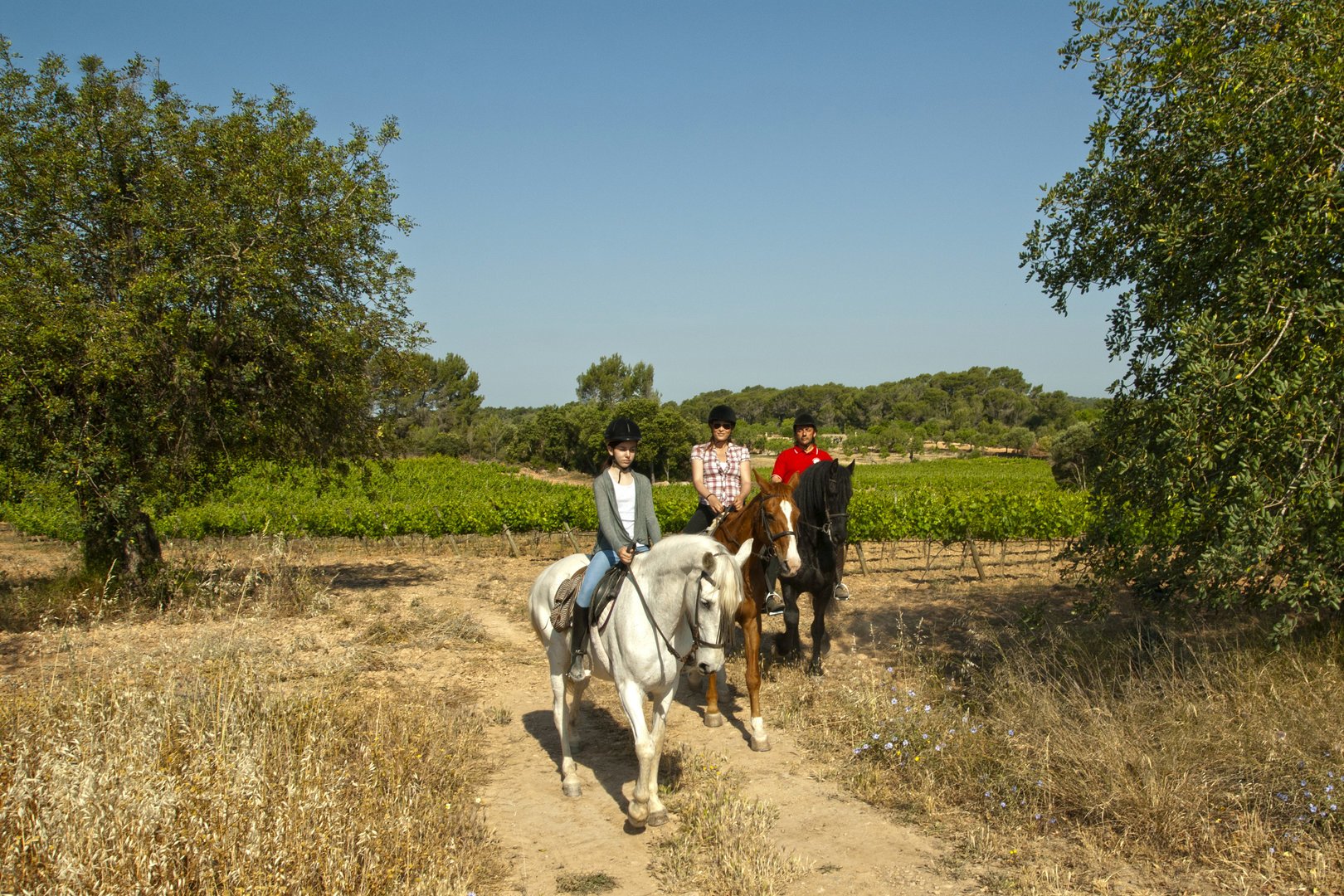 ruta caballo por los campos almendros