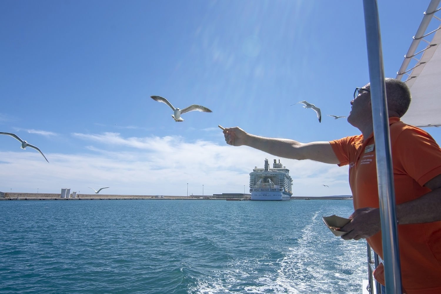 zona de cruceros en port de palma