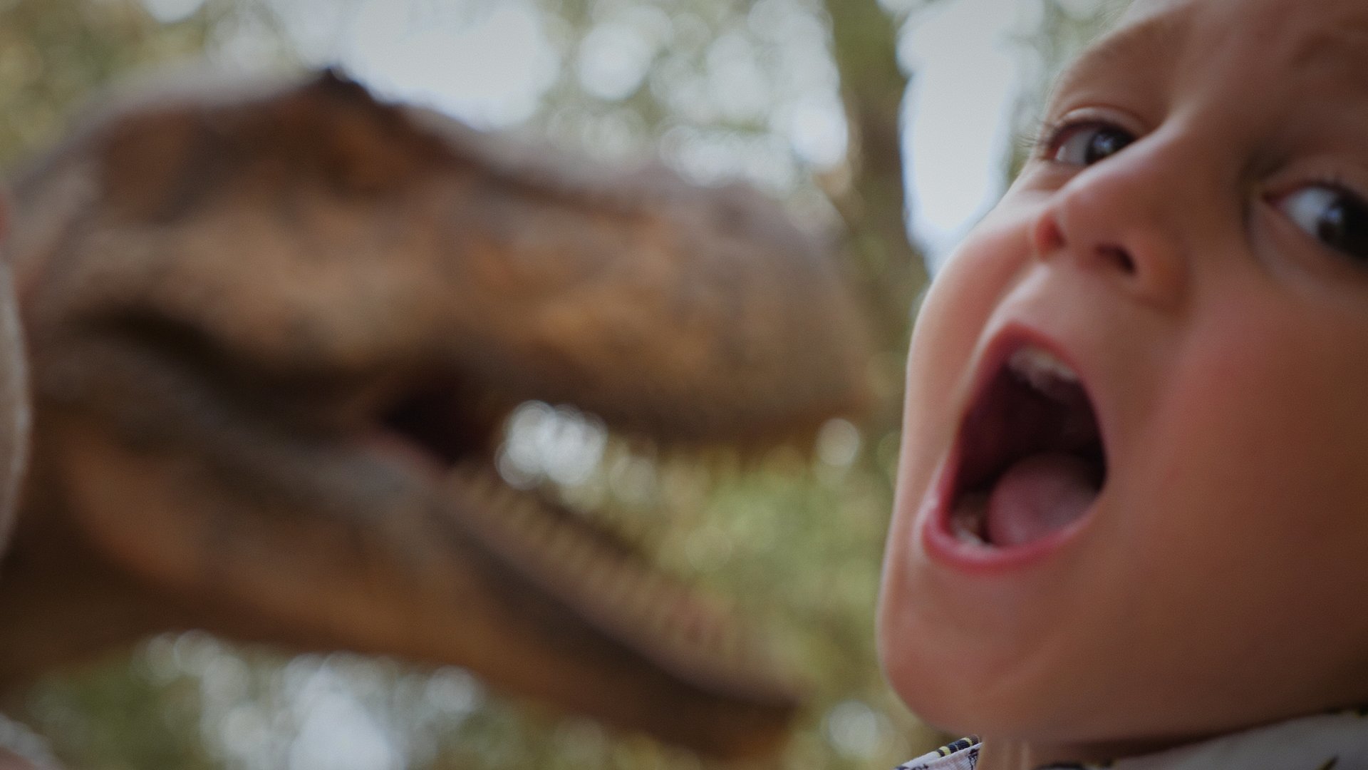 el niño está feliz con los dinosaurios