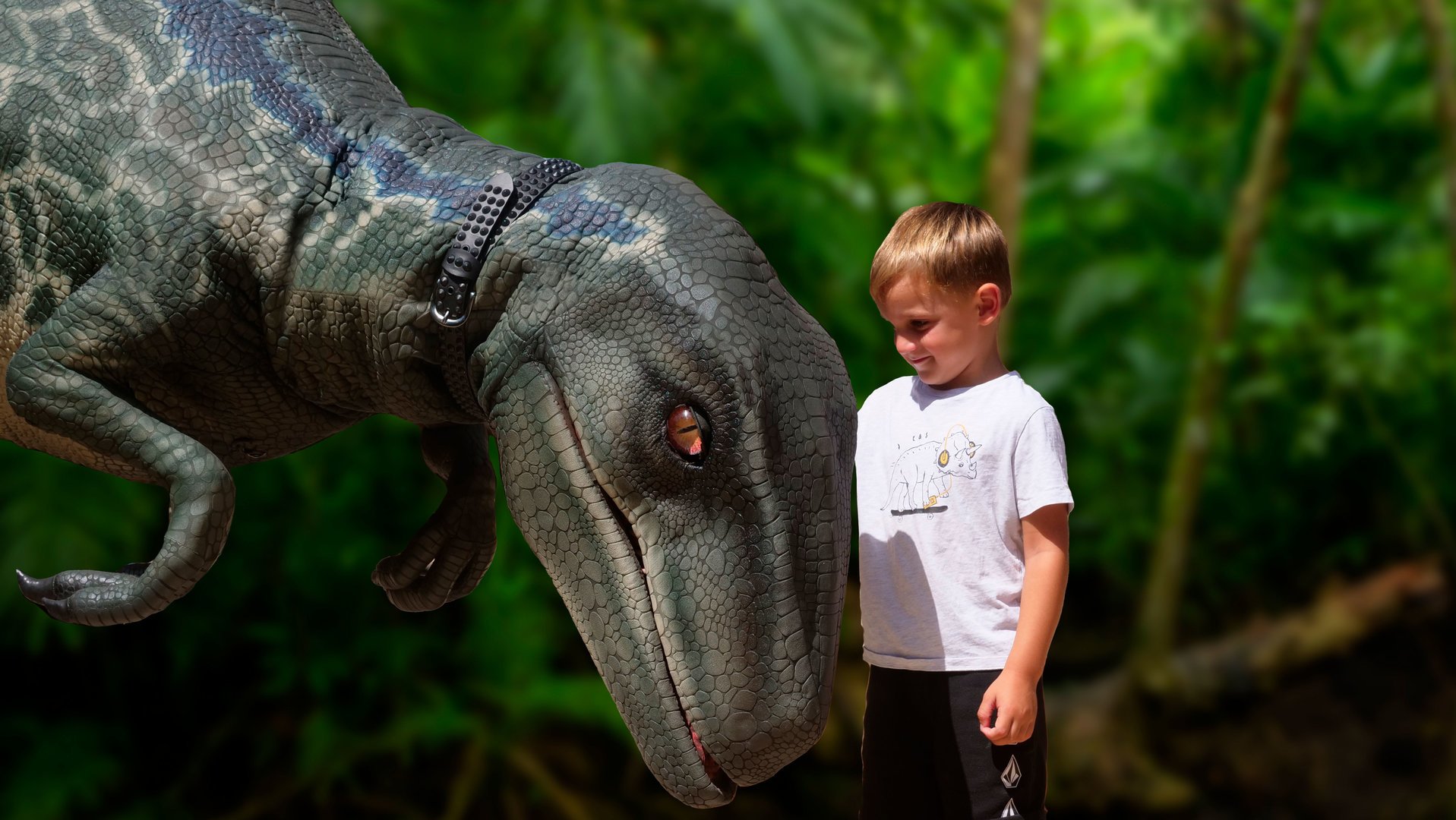 niño mira dinosaurios