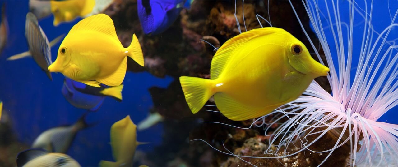 Tiempo libre en Palma Aquarium