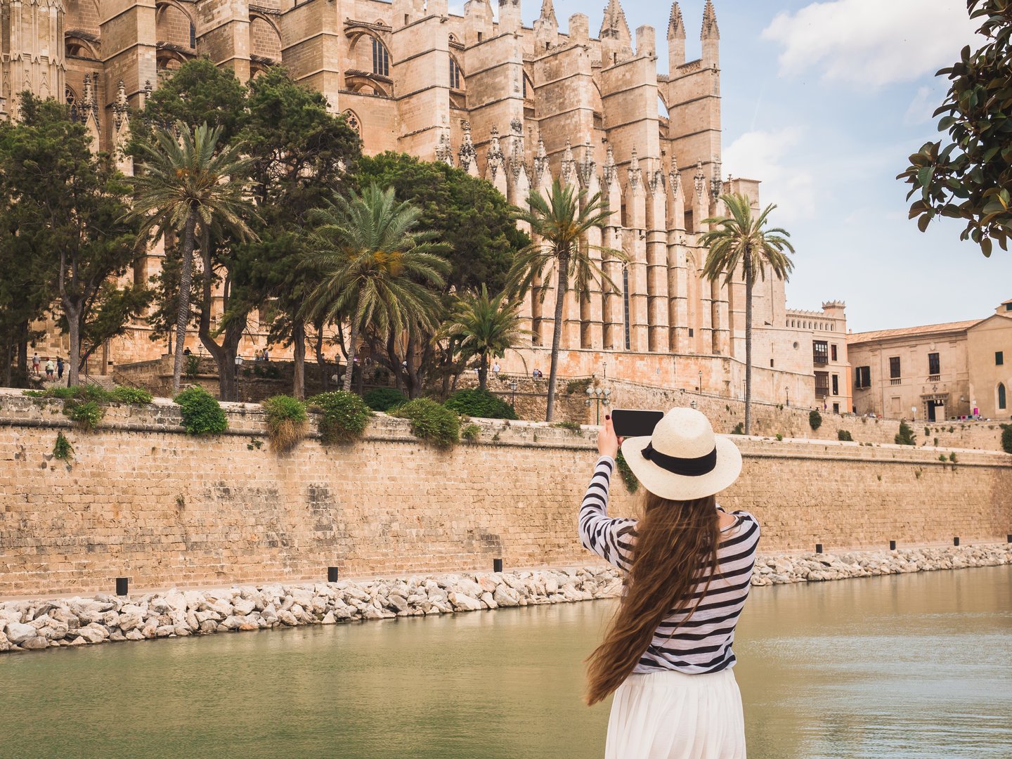 mallorca free tour: catedral de palma