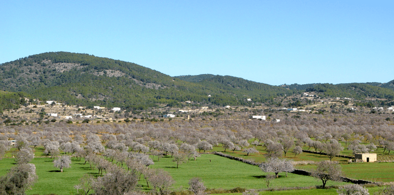Paisaje ibicenco
