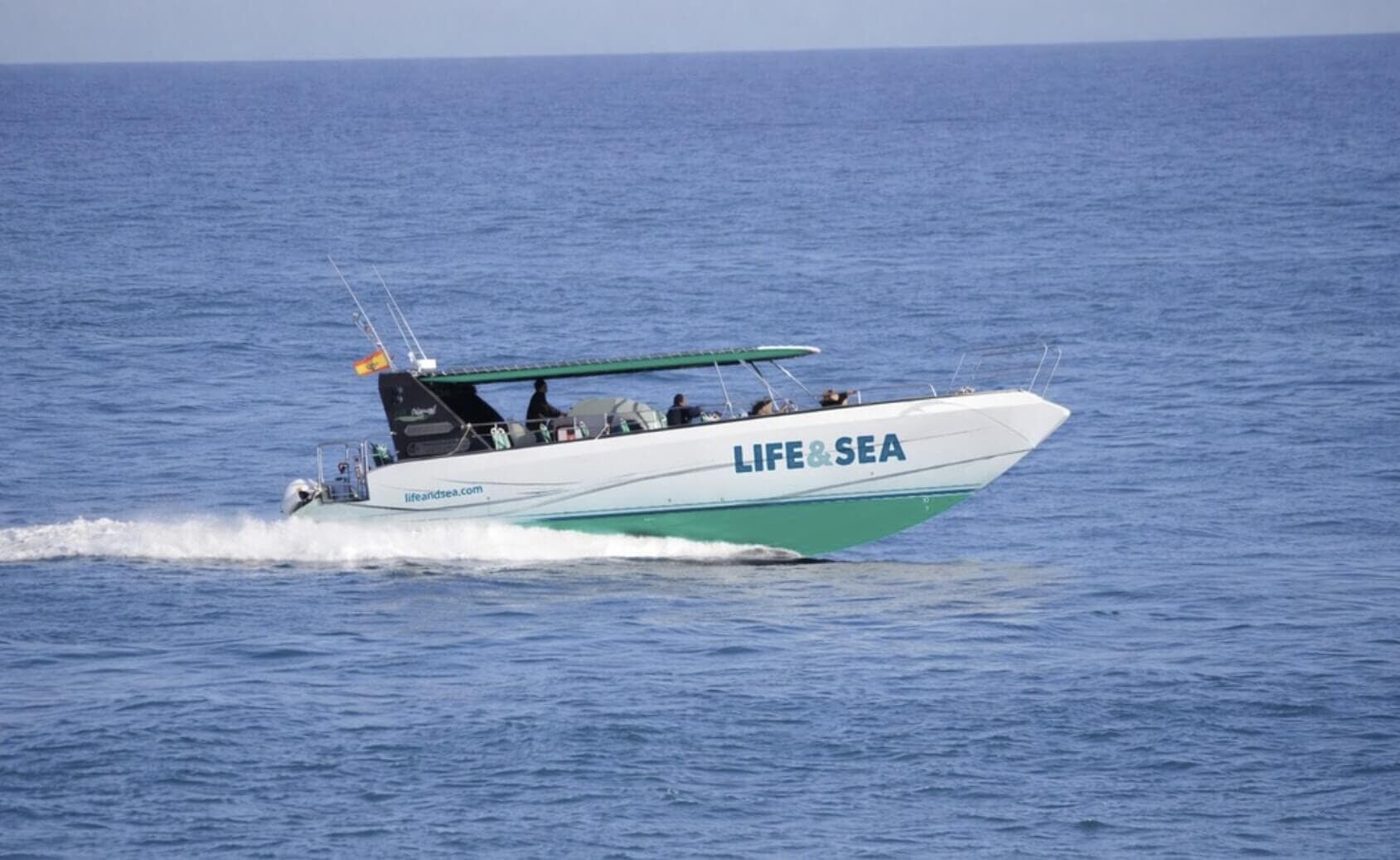 sailing barco delfin palma