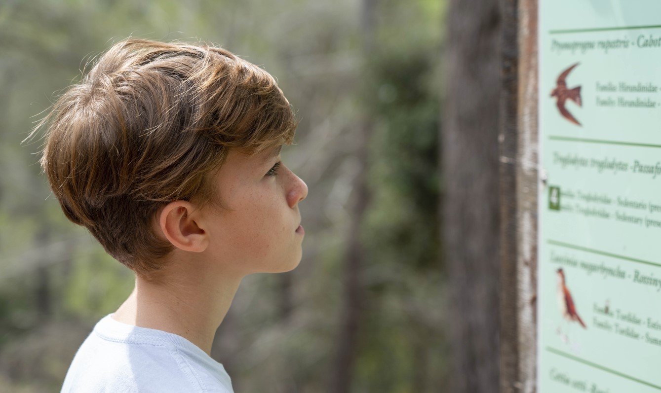pavo real en la reserva