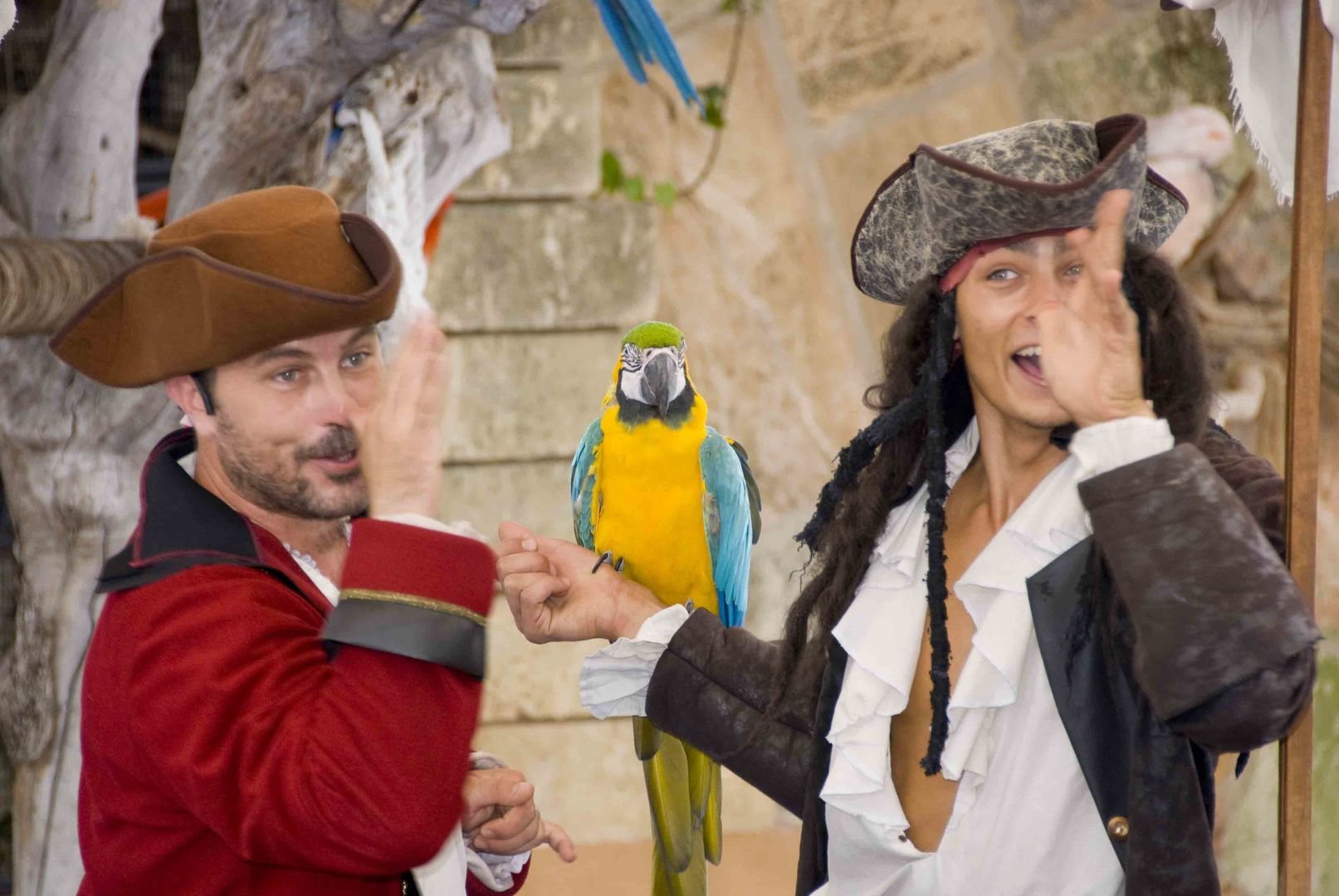 Espectáculo de loros