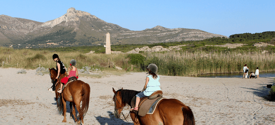 en la playa con los caballos