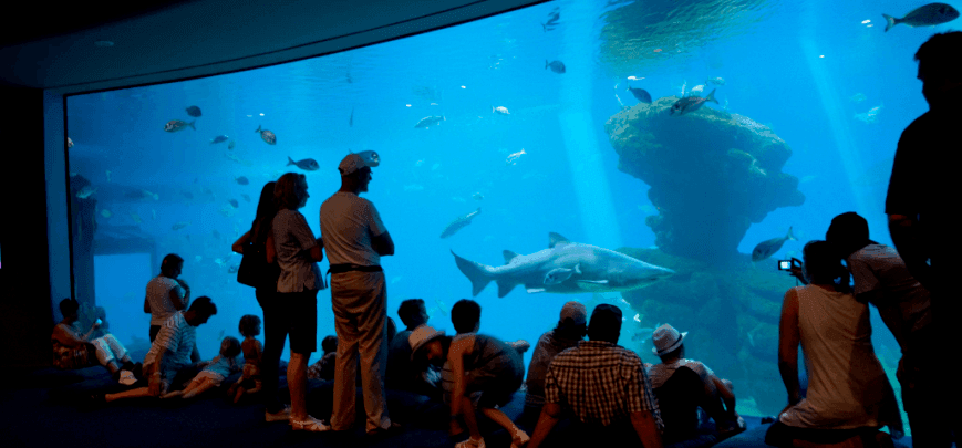 tickets de palma aquarium