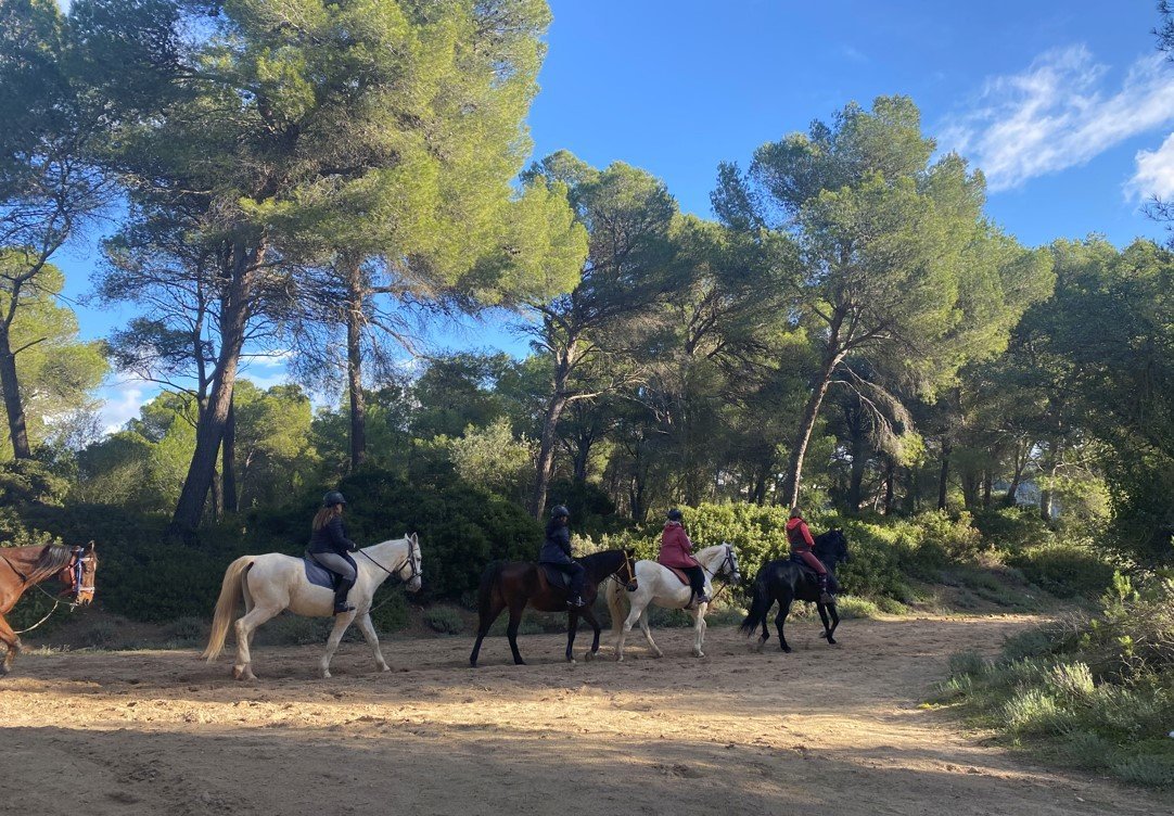 Disfrutando de la playa a caballo