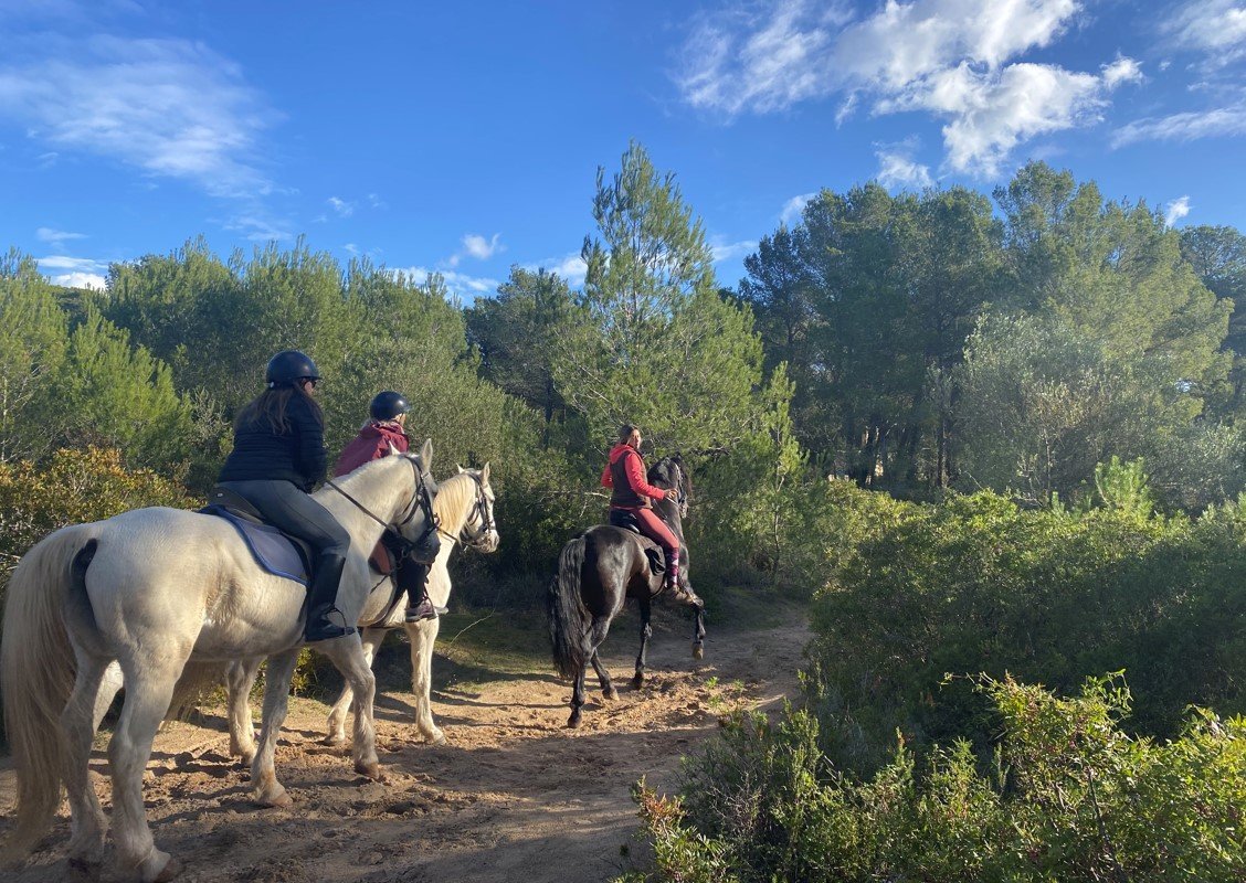 Ruta a caballo en grupo por Mallorca en la playa