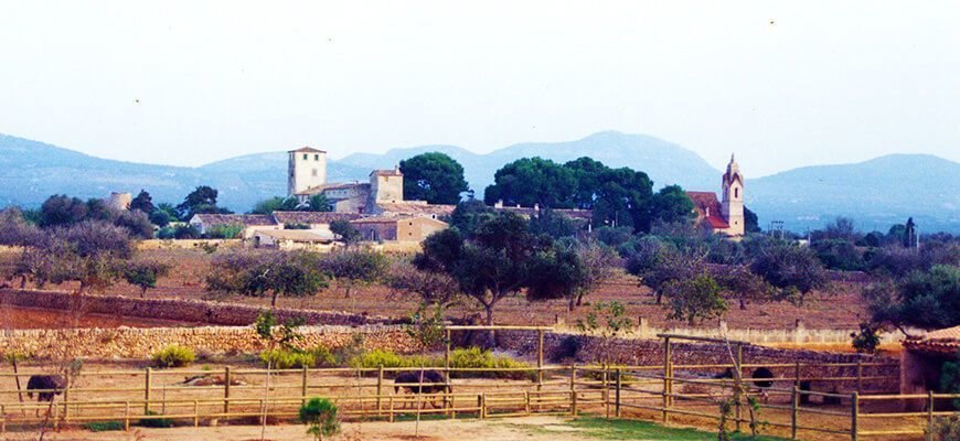 rancho grande mallorca