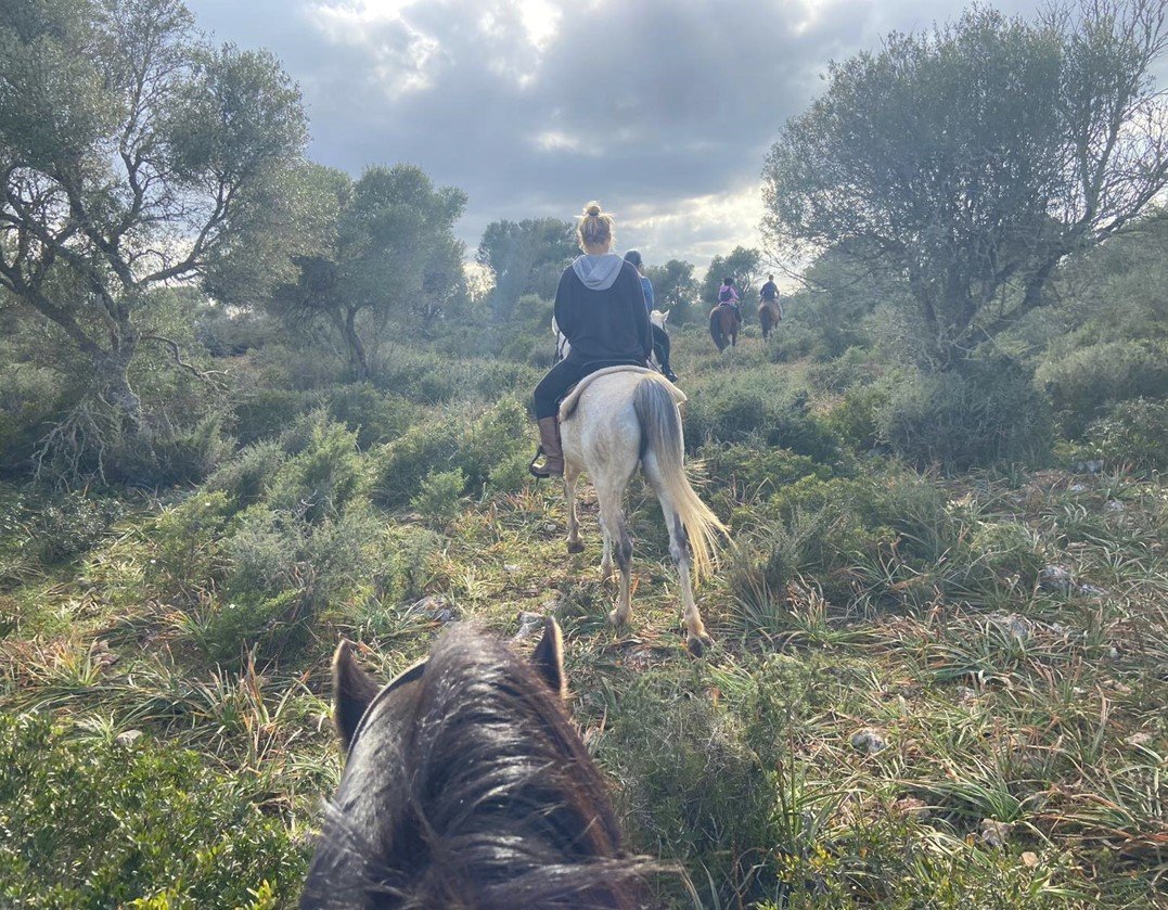 excursión a caballo en Mallorca