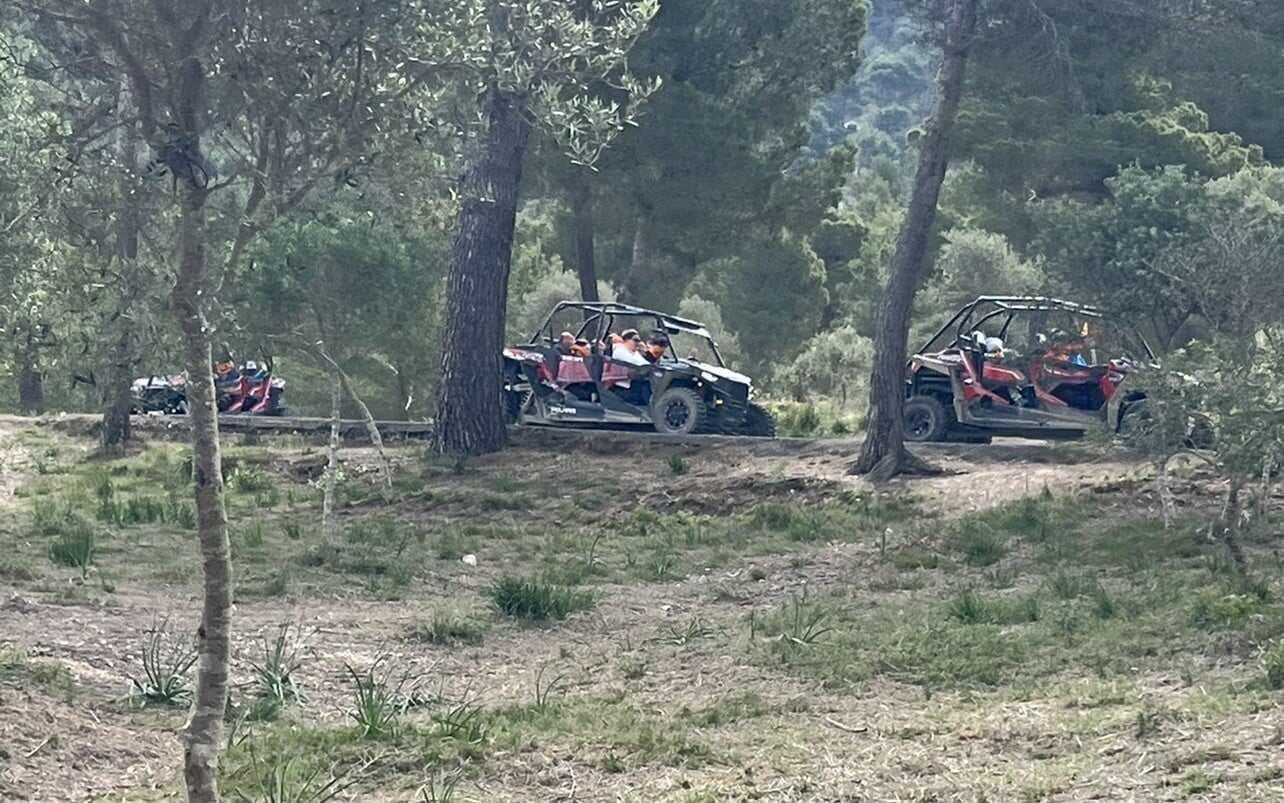 buggys en camino rural