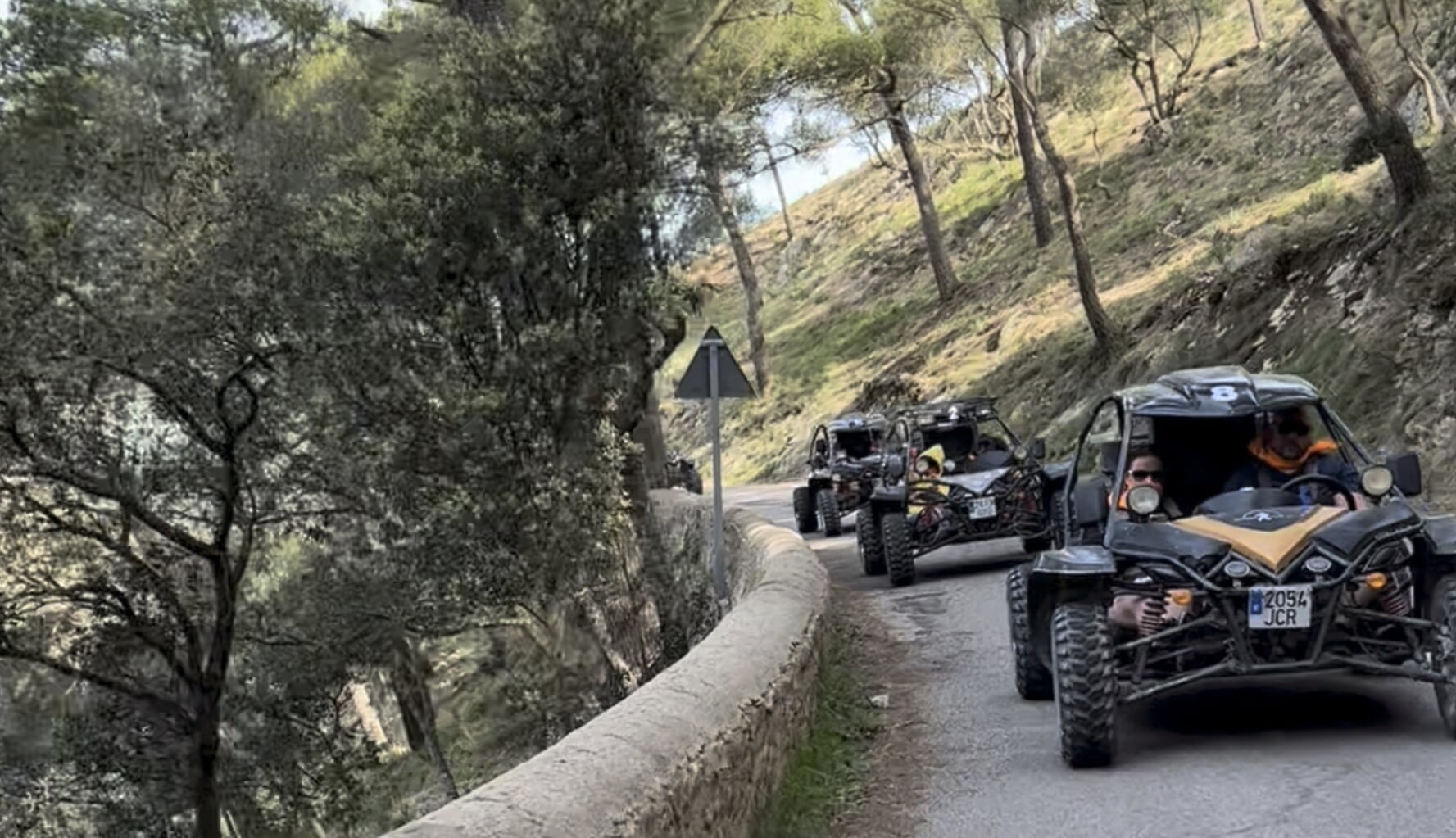 buggys en una bosque