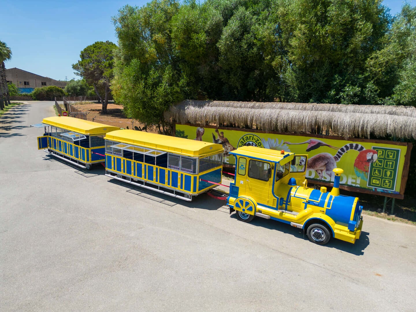 viaje con tren en el parque