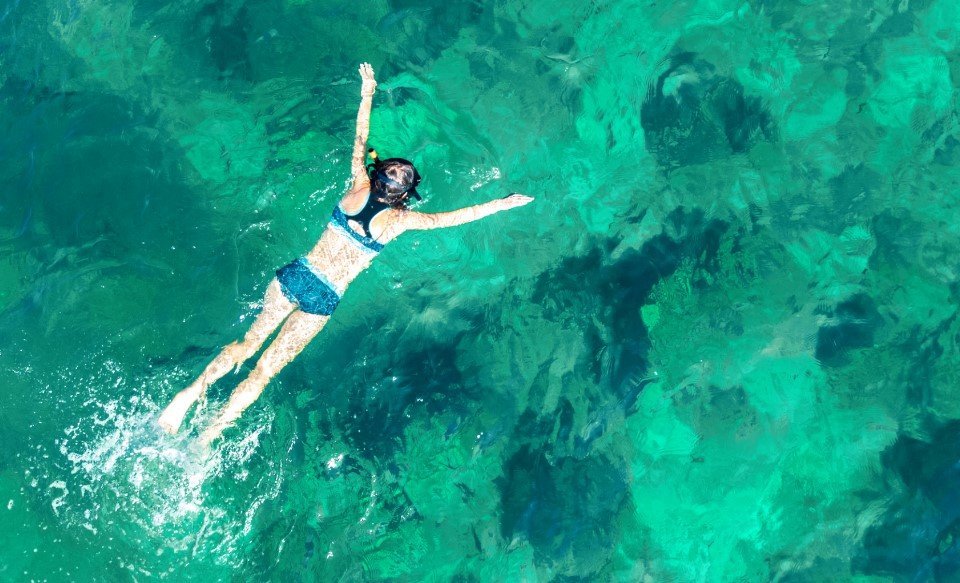 Descubre la vida marina al hacer snorkelling en Mallorca