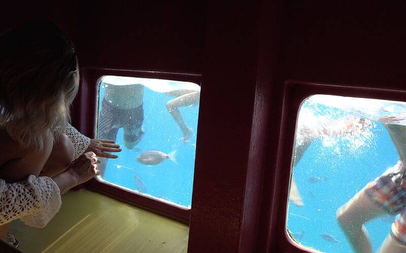 Toboganes acuáticos del barco Coast Discovery