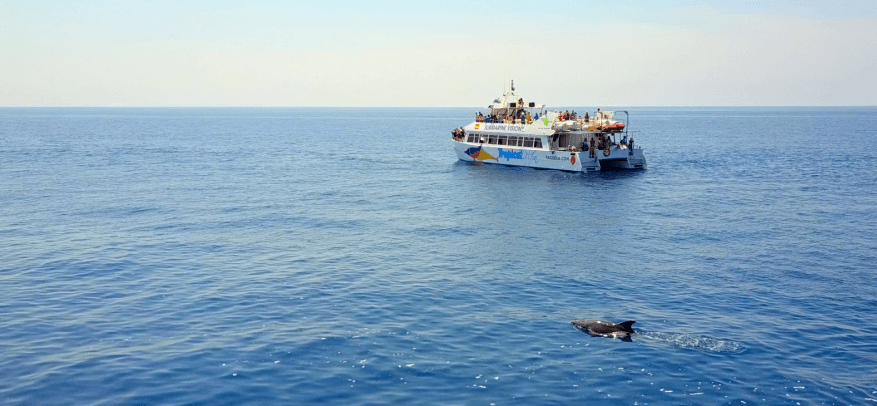 excursiones en barco en Mallorca