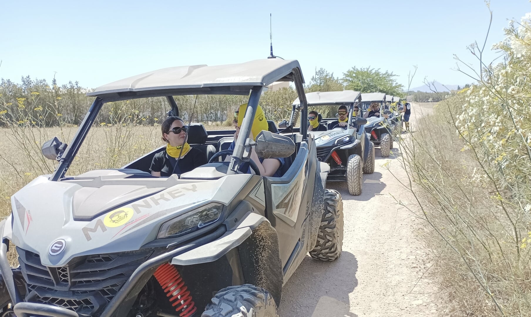 tour compartido en buggy