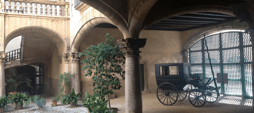 visita guiada de niche