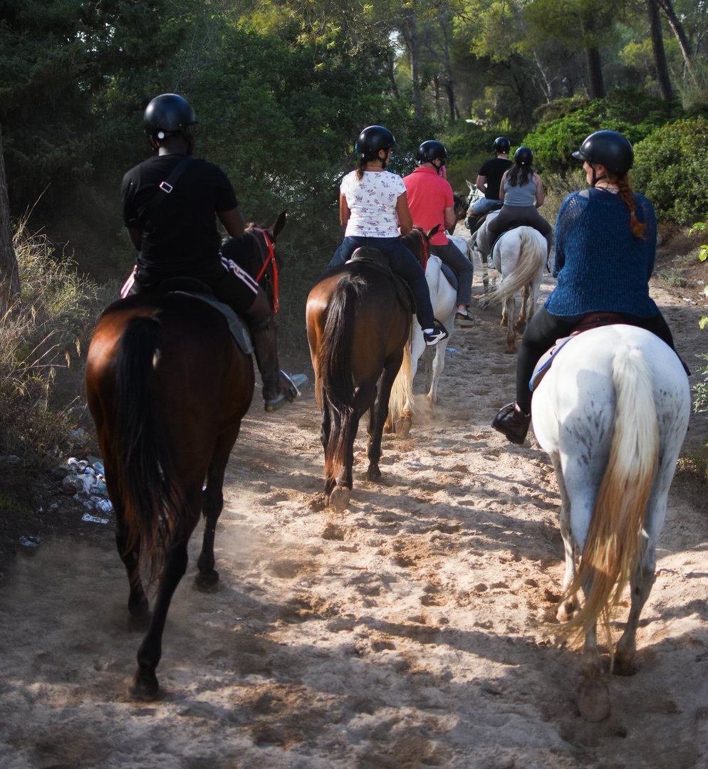 alcudia ranch for horse riding