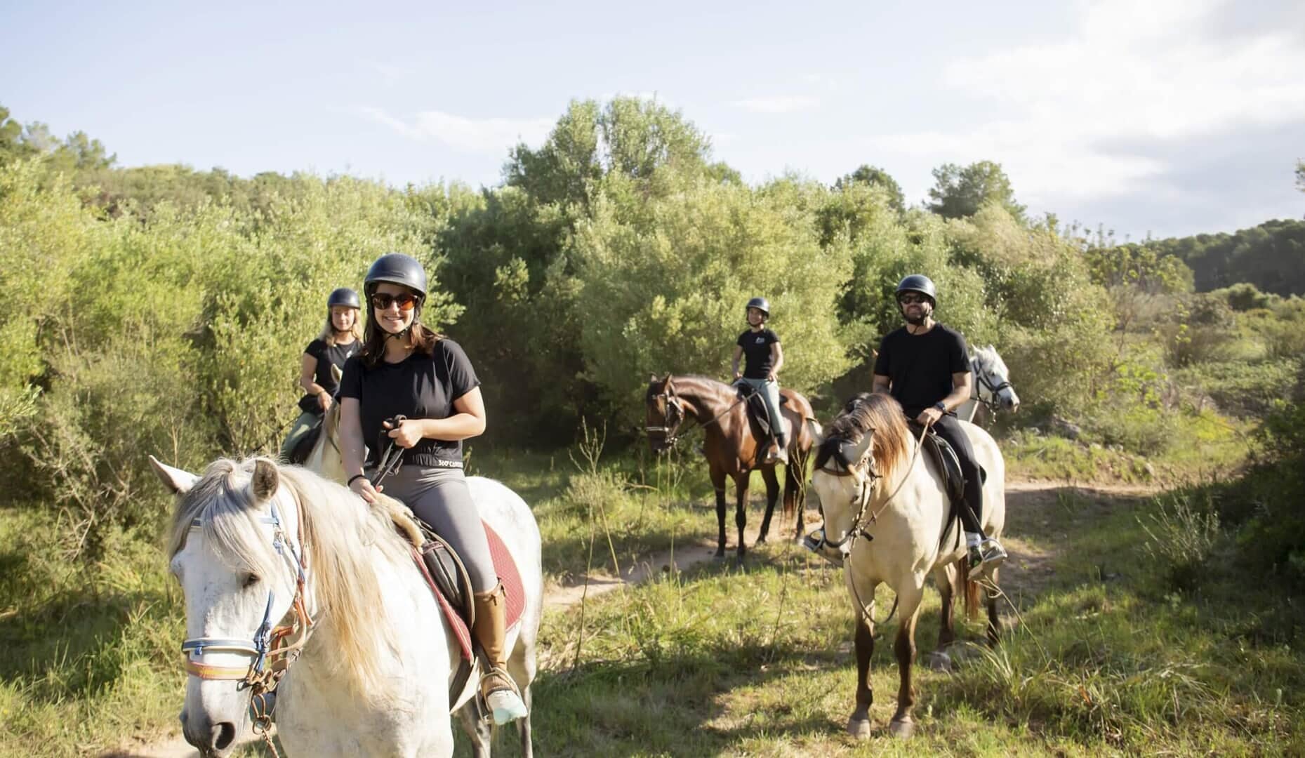 Beautiful horses on a clear day during a horseback riding excursion in Mallorca