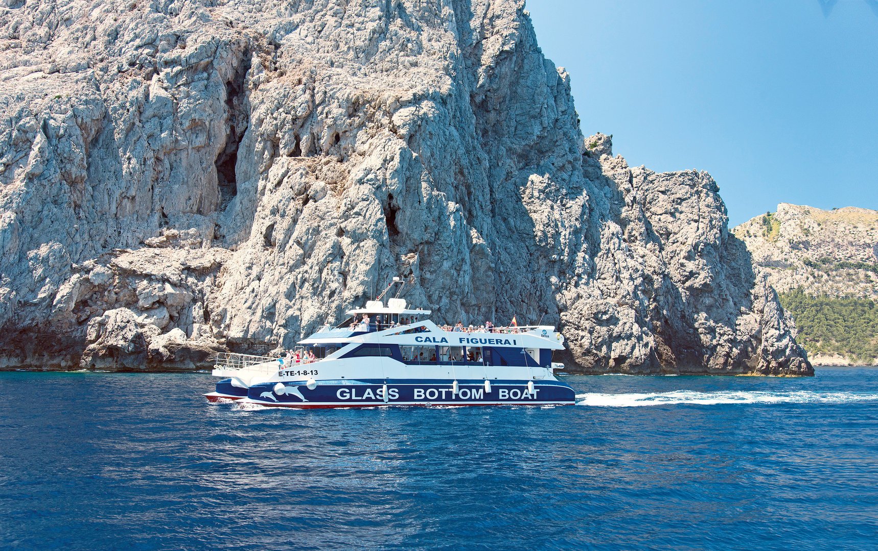Fantastic glass bottom boat tour